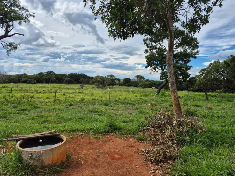 Fazenda em Formosa/Goiás — Ref 7UVD26 — Imagem 22