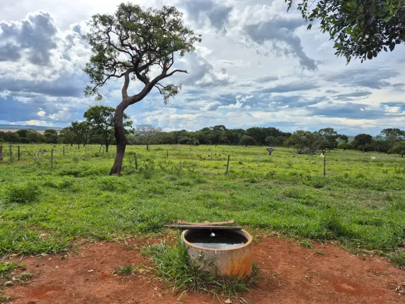 Fazenda em Formosa/Goiás — Ref 7UVD26 — Imagem 23