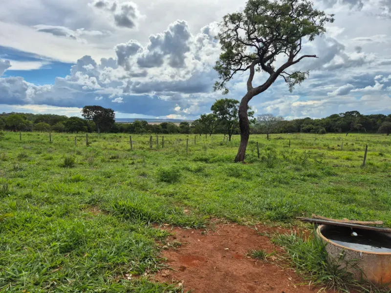 Fazenda em Formosa/Goiás — Ref 7UVD26 — Imagem 24