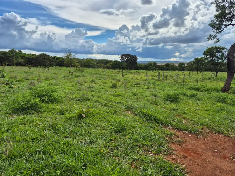 Fazenda em Formosa/Goiás — Ref 7UVD26 — Imagem 25