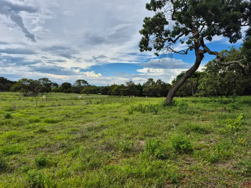 Fazenda em Formosa/Goiás — Ref 7UVD26 — Imagem 26