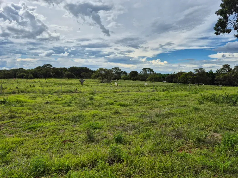 Fazenda em Formosa/Goiás — Ref 7UVD26 — Imagem 27
