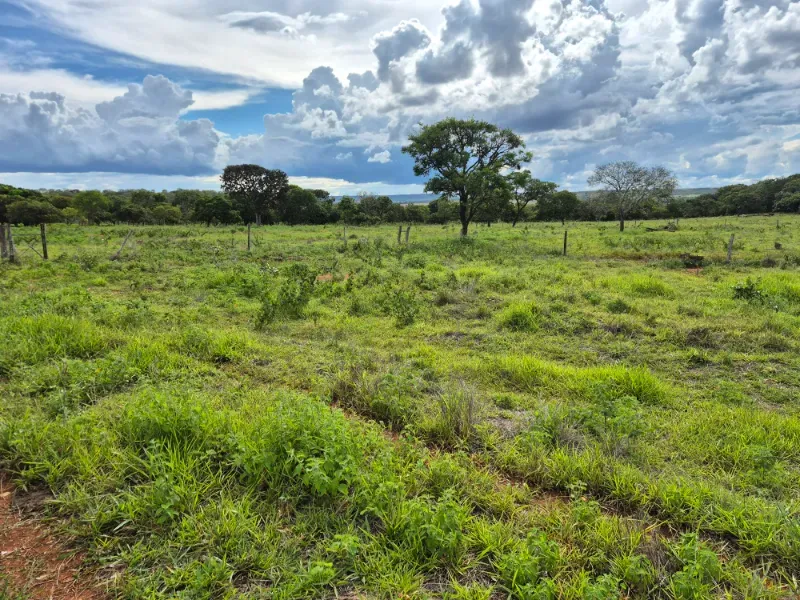 Fazenda em Formosa/Goiás — Ref 7UVD26 — Imagem 28