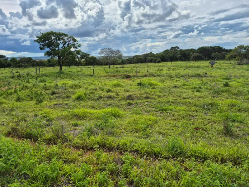 Fazenda em Formosa/Goiás — Ref 7UVD26 — Imagem 29