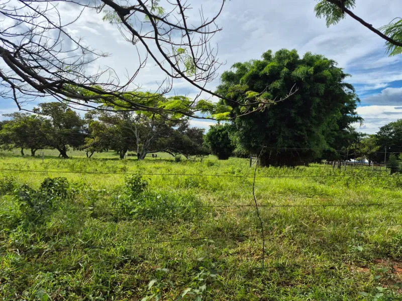 Fazenda em Formosa/Goiás — Ref 7UVD26 — Imagem 30