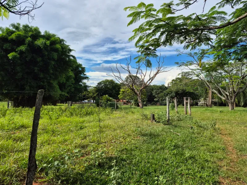 Fazenda em Formosa/Goiás — Ref 7UVD26 — Imagem 31