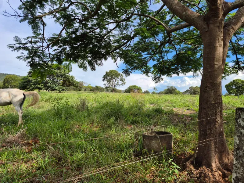 Fazenda em Formosa/Goiás — Ref 7UVD26 — Imagem 32