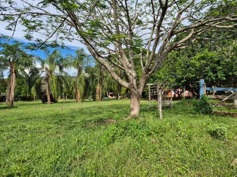 Fazenda em Formosa/Goiás — Ref 7UVD26 — Imagem 33