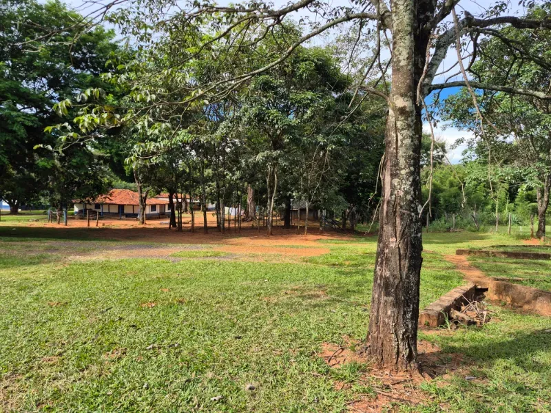 Fazenda em Formosa/Goiás — Ref 7UVD26 — Imagem 37