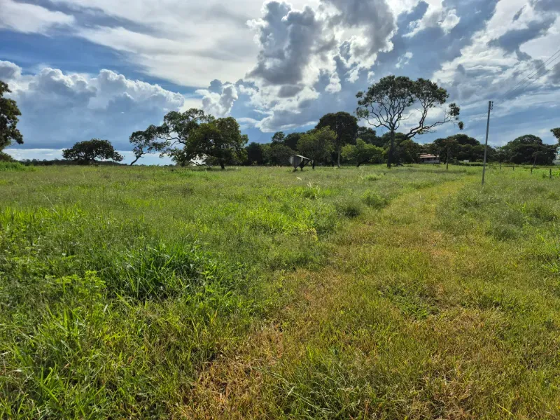 Fazenda em Formosa/Goiás — Ref 7UVD26 — Imagem 41