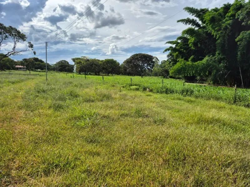 Fazenda em Formosa/Goiás — Ref 7UVD26 — Imagem 42