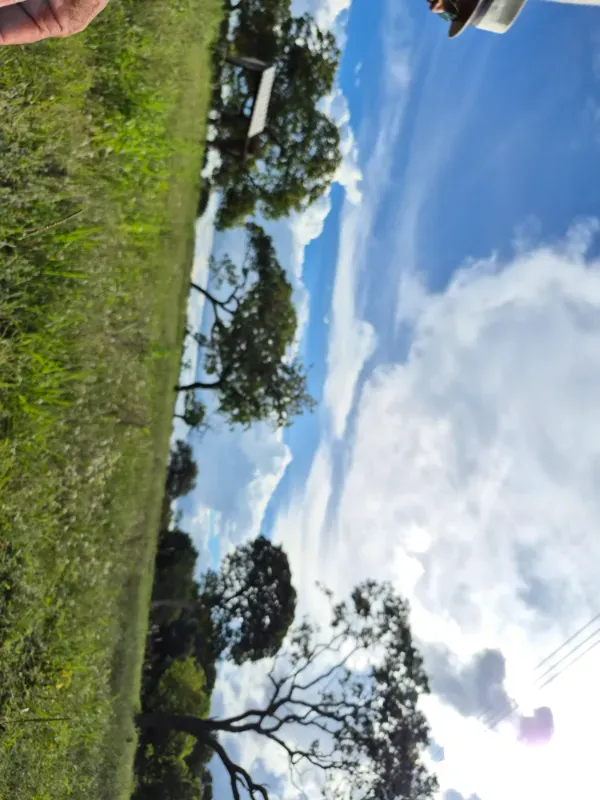 Fazenda em Formosa/Goiás — Ref 7UVD26 — Imagem 43