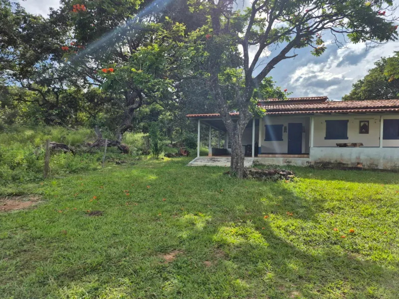 Fazenda em Formosa/Goiás — Ref 7UVD26 — Imagem 44