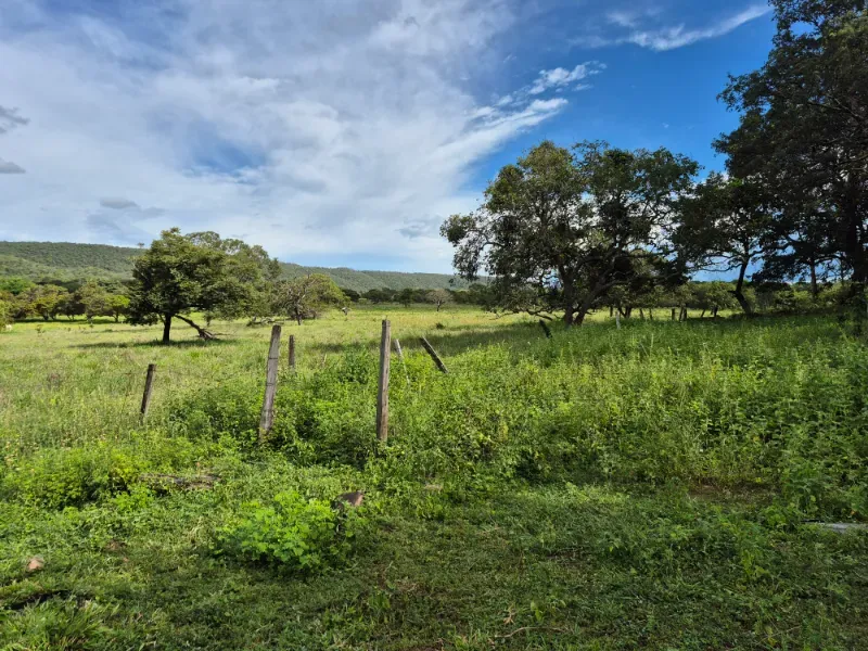 Fazenda em Formosa/Goiás — Ref 7UVD26 — Imagem 47