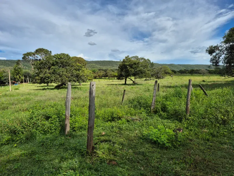 Fazenda em Formosa/Goiás — Ref 7UVD26 — Imagem 48
