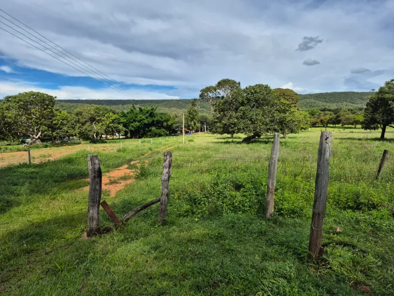 Fazenda em Formosa/Goiás — Ref 7UVD26 — Imagem 49