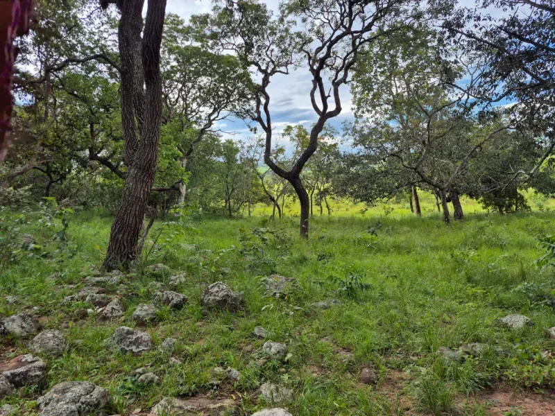 Fazenda em Formosa/Goiás — Ref 7UVD26 — Imagem 62