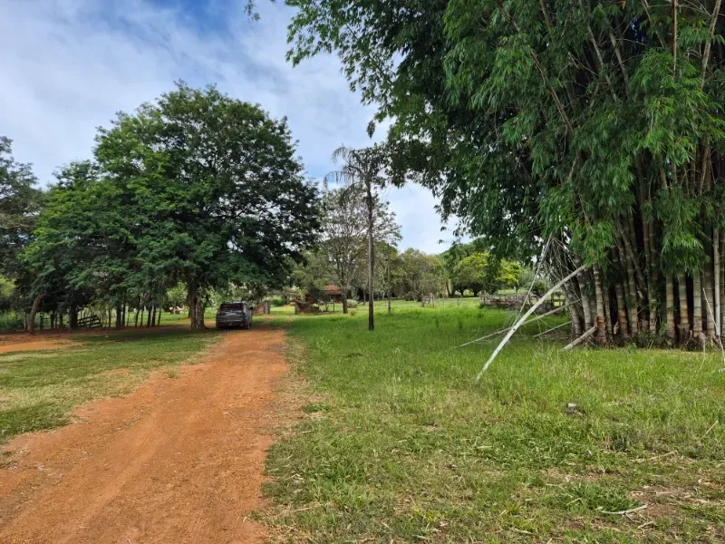 Fazenda em Formosa/Goiás — Ref 7UVD26 — Imagem 64