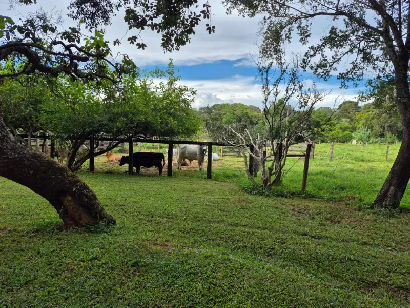 Fazenda em Formosa/Goiás — Ref 7UVD26 — Imagem 69