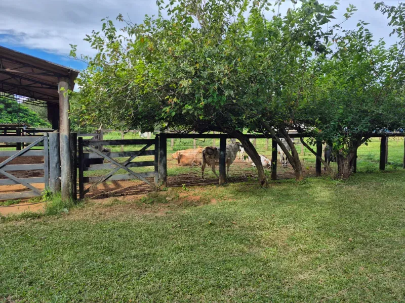 Fazenda em Formosa/Goiás — Ref 7UVD26 — Imagem 71