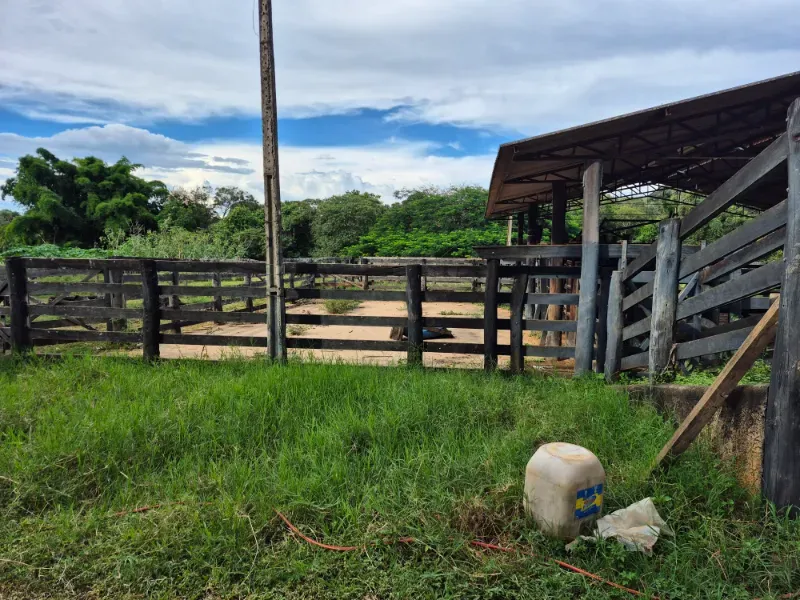 Fazenda em Formosa/Goiás — Ref 7UVD26 — Imagem 72