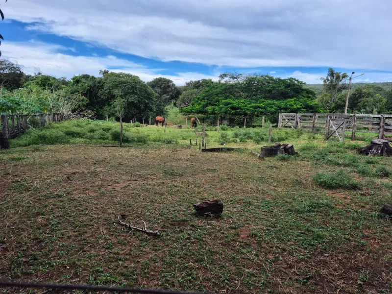 Fazenda em Formosa/Goiás — Ref 7UVD26 — Imagem 75