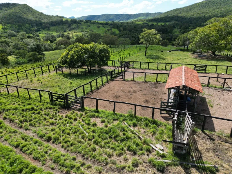 Fazenda em Formoso/Goiás — Ref IPRX36 — Imagem 4
