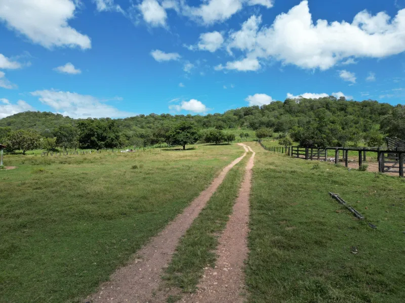 Fazenda em Formoso/Goiás — Ref IPRX36 — Imagem 6