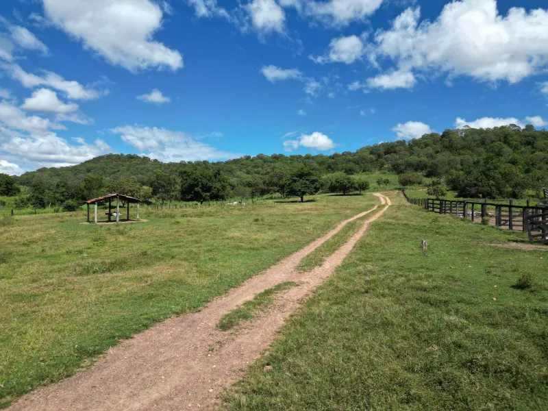 Fazenda em Formoso/Goiás — Ref IPRX36 — Imagem 8