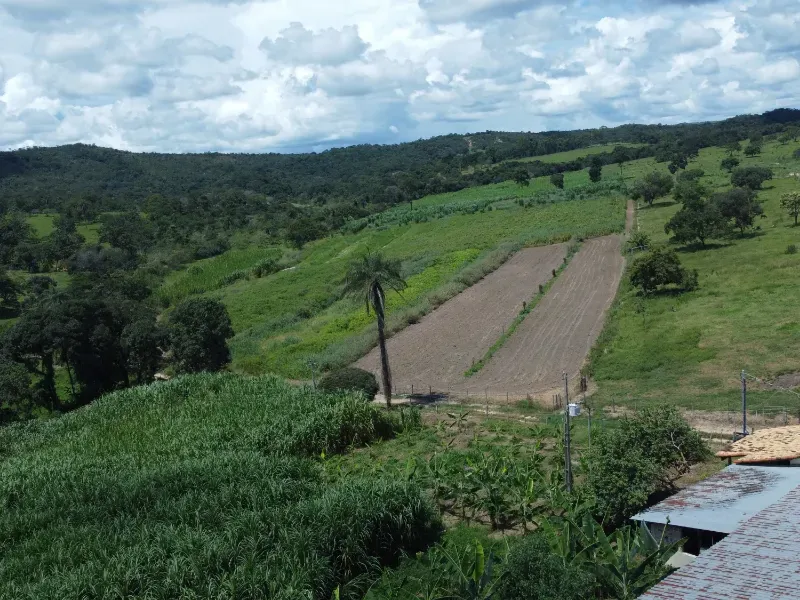 Fazenda em Fortuna de Minas/Minas Gerais — Ref 7ACDRL — Imagem 3