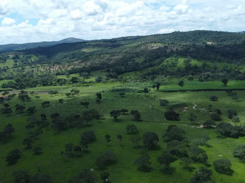Fazenda em Fortuna de Minas/Minas Gerais — Ref 7ACDRL — Imagem 5