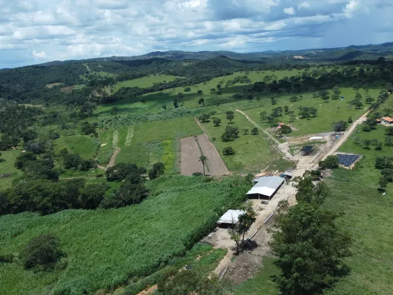 Fazenda em Fortuna de Minas/Minas Gerais — Ref 7ACDRL — Imagem 6