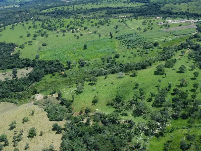 Fazenda em Fortuna de Minas/Minas Gerais — Ref 7ACDRL — Imagem 7
