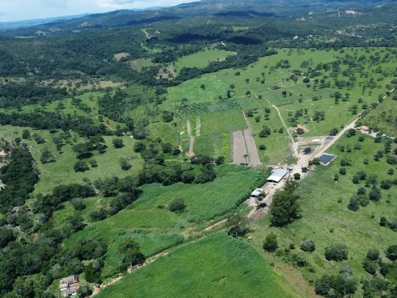 Fazenda em Fortuna de Minas/Minas Gerais — Ref 7ACDRL — Imagem 8