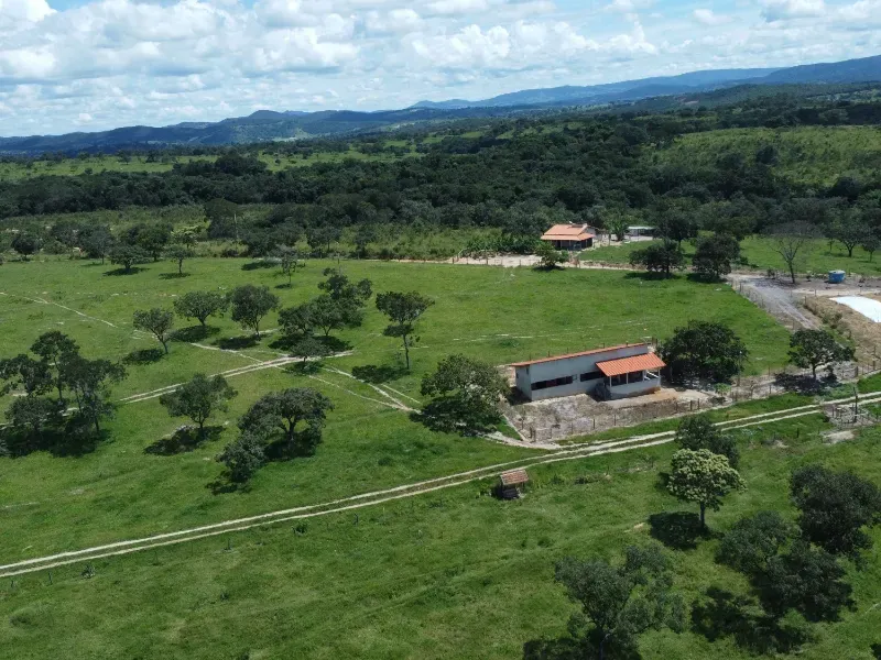 Fazenda em Fortuna de Minas/Minas Gerais — Ref 7ACDRL — Imagem 9