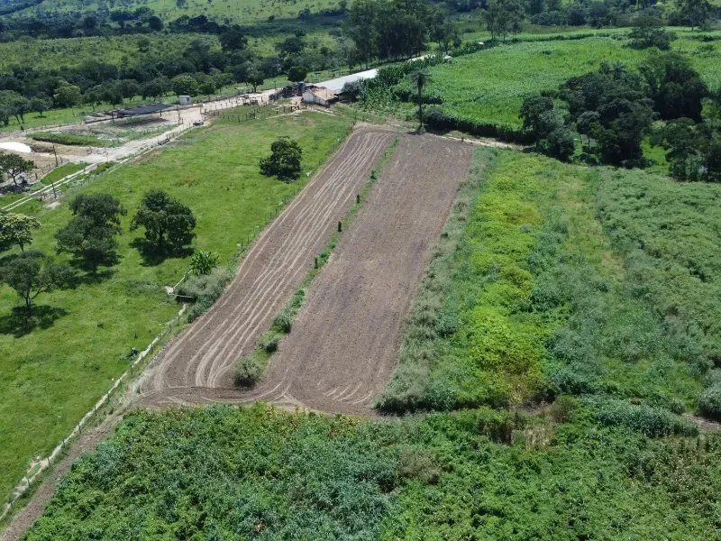 Fazenda em Fortuna de Minas/Minas Gerais — Ref 7ACDRL — Imagem 10