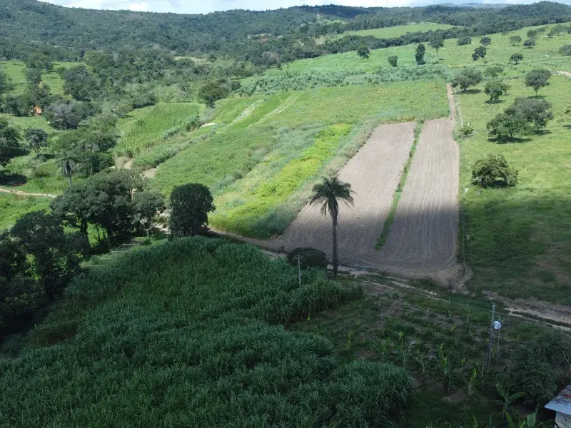 Fazenda em Fortuna de Minas/Minas Gerais — Ref 7ACDRL — Imagem 11
