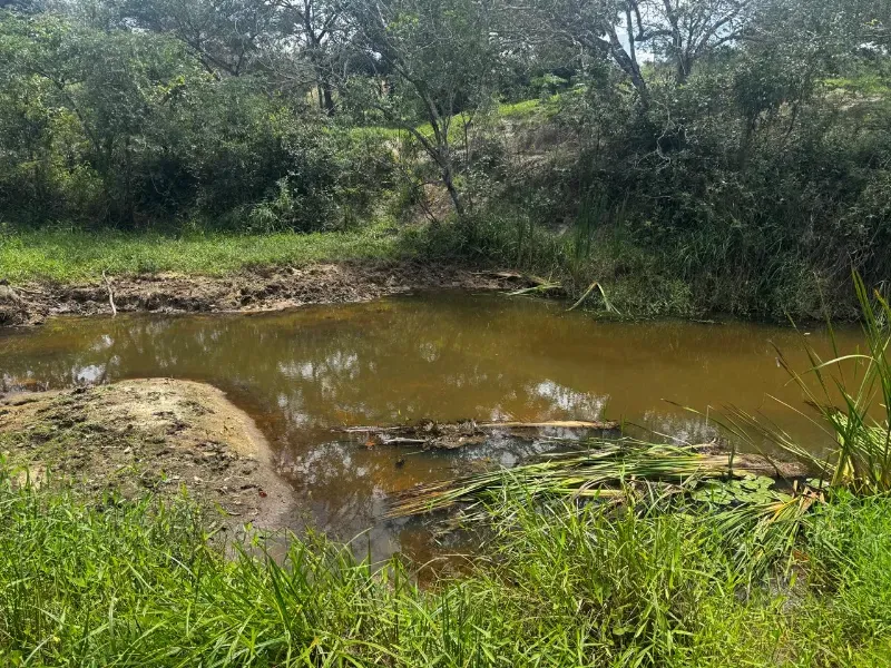 Fazenda em Fortuna de Minas/Minas Gerais — Ref 7ACDRL — Imagem 16