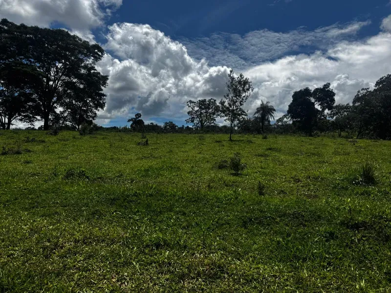 Fazenda em Fortuna de Minas/Minas Gerais — Ref 7ACDRL — Imagem 17