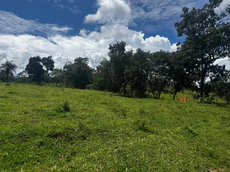 Fazenda em Fortuna de Minas/Minas Gerais — Ref 7ACDRL — Imagem 19