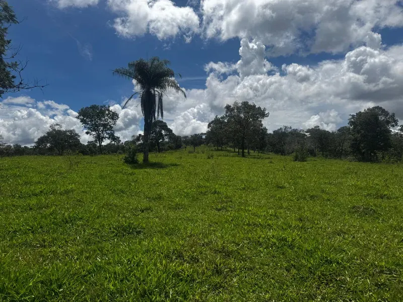 Fazenda em Fortuna de Minas/Minas Gerais — Ref 7ACDRL — Imagem 21
