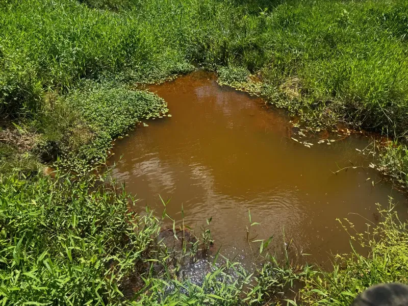 Fazenda em Fortuna de Minas/Minas Gerais — Ref 7ACDRL — Imagem 22