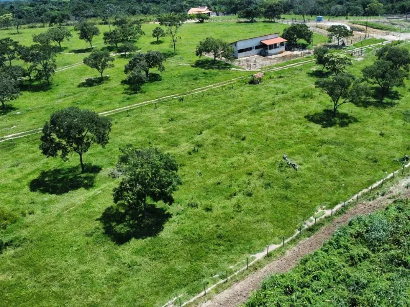 Fazenda em Fortuna de Minas/Minas Gerais — Ref 7ACDRL — Imagem 23