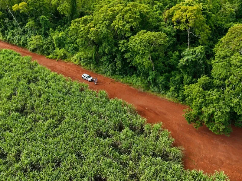 Fazenda em Franca/São Paulo — Ref RB1TTC — Imagem 2