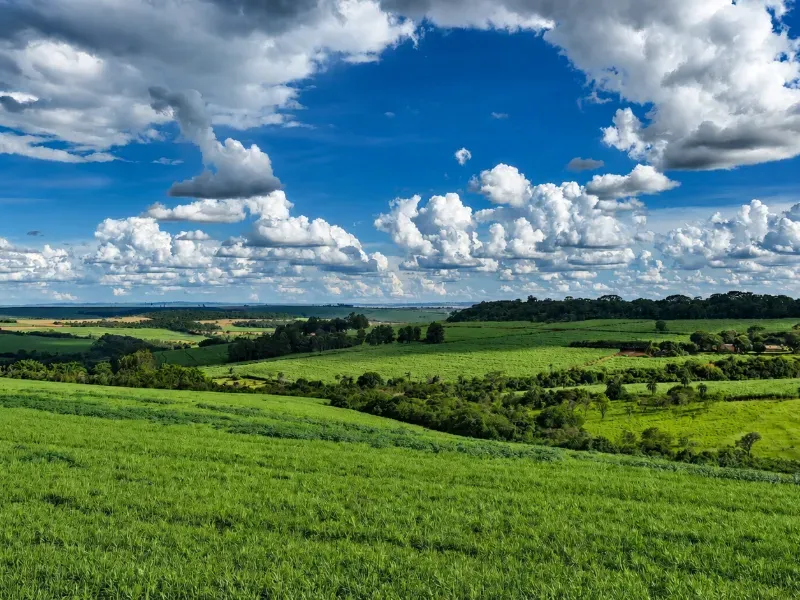 Fazenda em Franca/São Paulo — Ref RB1TTC — Imagem 3