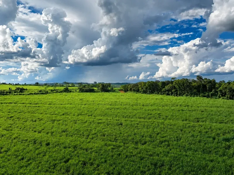 Imóvel rural em Franca/São Paulo — Ref RB1TTC1