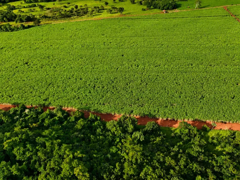 Fazenda em Franca/São Paulo — Ref RB1TTC — Imagem 4