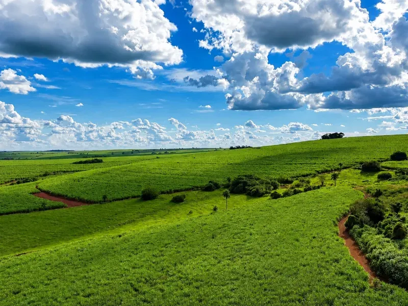 Fazenda em Franca/São Paulo — Ref RB1TTC — Imagem 5