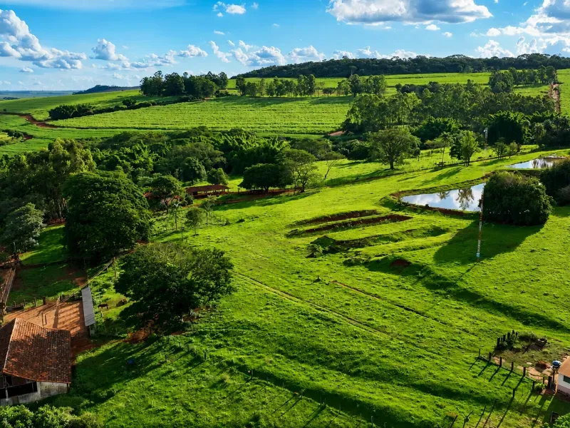 Fazenda em Franca/São Paulo — Ref RB1TTC — Imagem 6