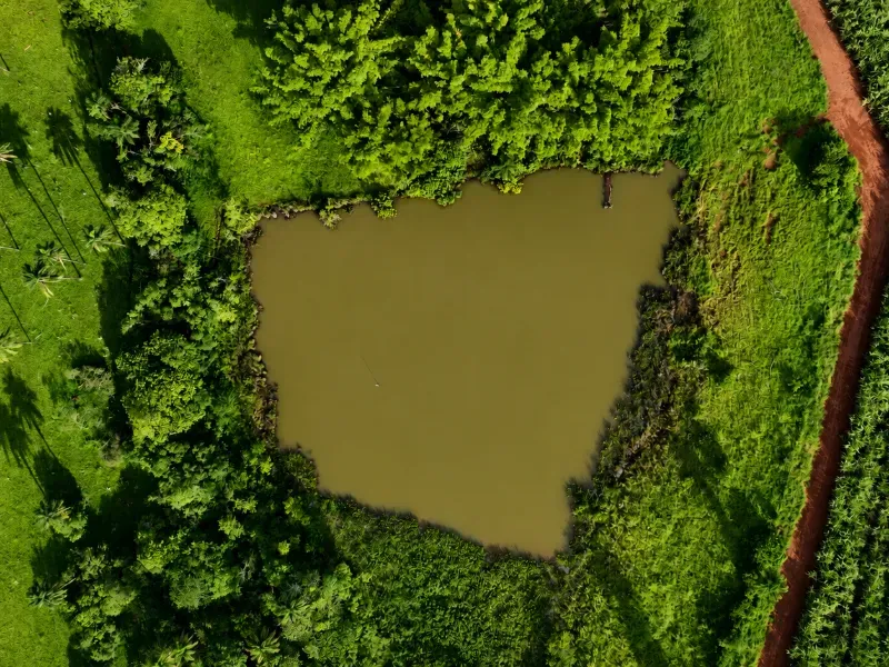 Fazenda em Franca/São Paulo — Ref RB1TTC — Imagem 8